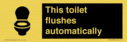 this-toilet-flushes-automatically~